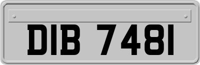 DIB7481