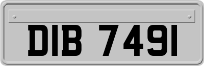 DIB7491