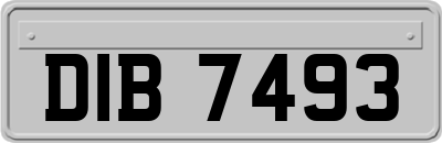 DIB7493