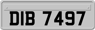 DIB7497