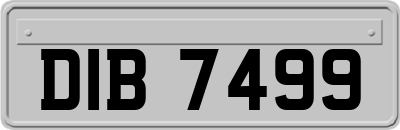 DIB7499