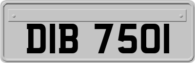 DIB7501