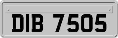 DIB7505