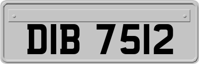 DIB7512