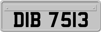 DIB7513