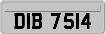 DIB7514