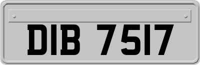 DIB7517