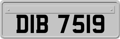 DIB7519