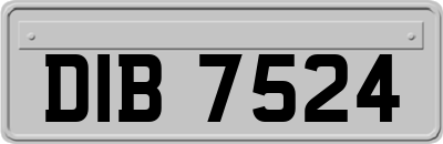 DIB7524