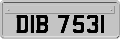 DIB7531