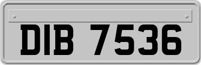 DIB7536
