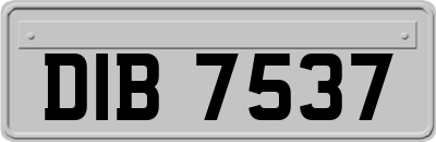 DIB7537