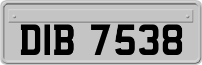 DIB7538