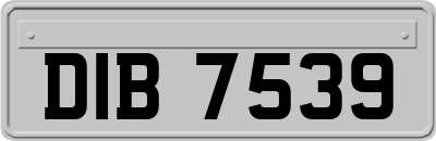 DIB7539