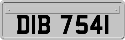 DIB7541