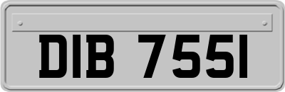 DIB7551