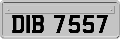 DIB7557