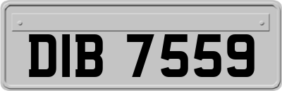 DIB7559