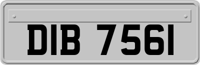 DIB7561