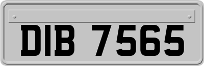 DIB7565