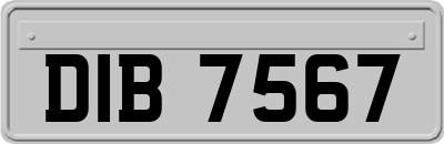 DIB7567
