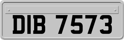 DIB7573