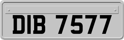 DIB7577