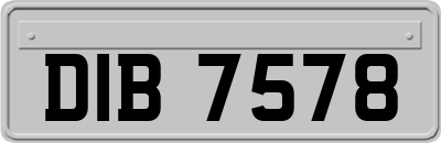 DIB7578