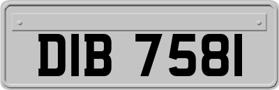 DIB7581