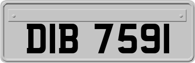 DIB7591