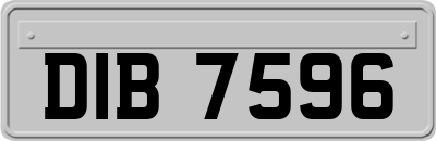 DIB7596
