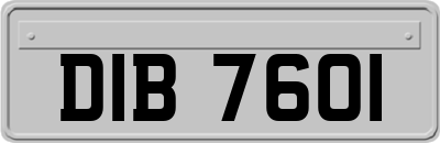 DIB7601