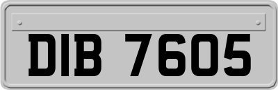 DIB7605