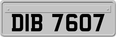 DIB7607