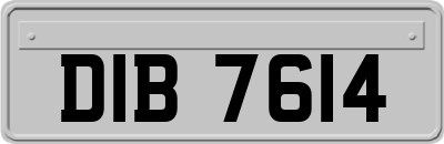 DIB7614