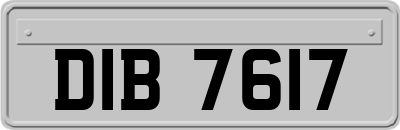 DIB7617