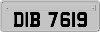 DIB7619