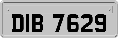 DIB7629