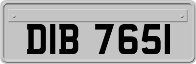 DIB7651
