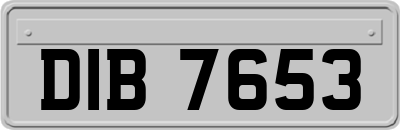 DIB7653