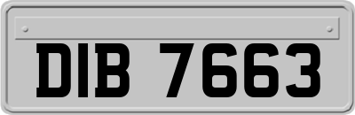 DIB7663