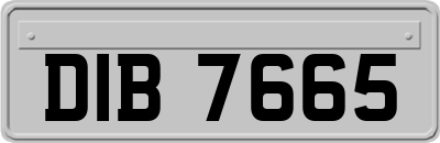 DIB7665