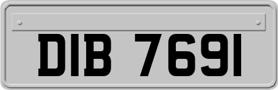 DIB7691