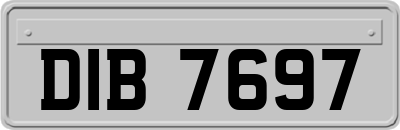 DIB7697