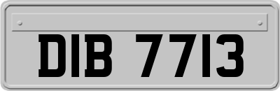 DIB7713