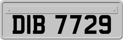 DIB7729
