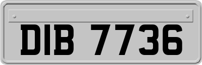 DIB7736