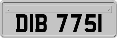 DIB7751
