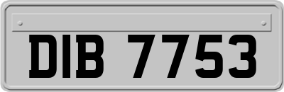 DIB7753