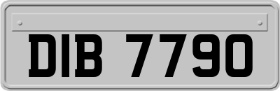 DIB7790